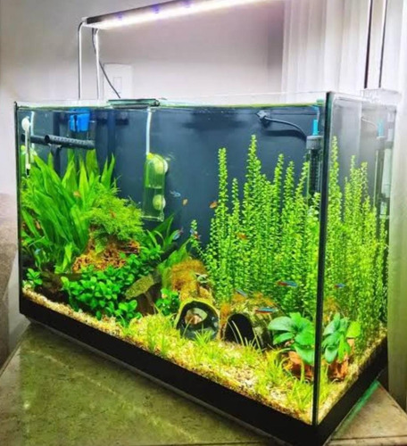 Abonos Acuario 500 Ml Potasio Nitrato Hierro Fósforo Micros.