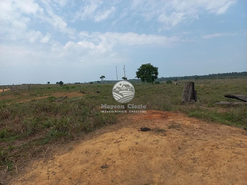 Imagem 4 de 5 de Venda Fazenda Machadinho D'oeste Em Rondônia - Fza205