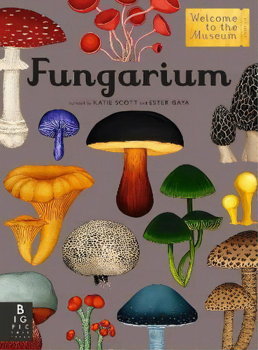 Fungarium : Welcome To The Museum, De Ester Gaya. Editorial Big Picture Press, Tapa Dura En Inglés