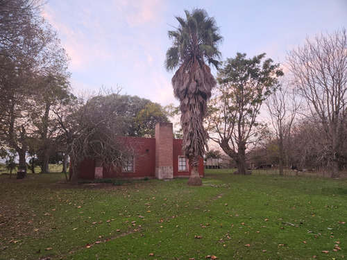 Imagen 5 de 8 de Alquilo Campo Ganadero Sobre Ruta 11 Con Casa Y Mejoras, 15 Min Del Centro De La Plata.