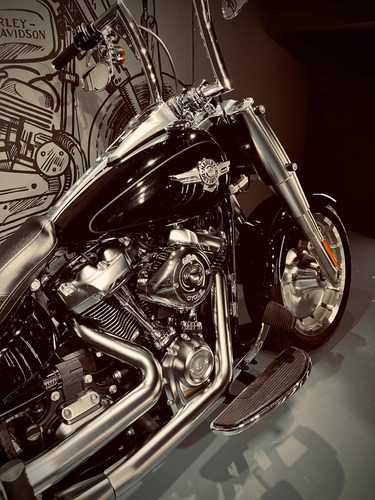 Imagen 10 de 20 de Harley Davidson Fat Boy 114 Df_motorcycles