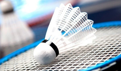 Gallito Gallo Badminton Plástico 6 Unidades Repuesto Import