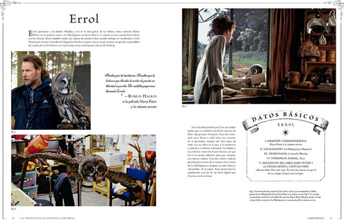 Imagen 5 de 6 de Harry Potter: Los Archivos De Las Películas Vol. 5.