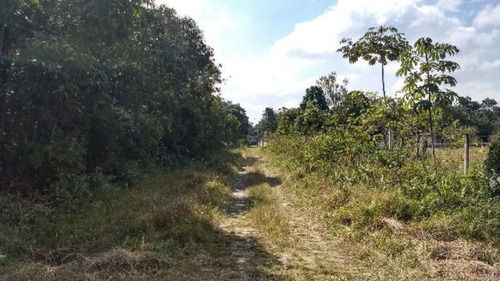 Imagem 11 de 16 de Ótima Área Para Sítio Com 27.500 M² De Área Total, Com Riacho, Construção Para Terminar, No Balneário Gaivota, Em Itanhaém Ref: 4690/ac