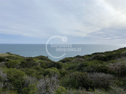 Sitios Venta, Entre Topocalma Y Pichilemu, 5.000 M2, Vista