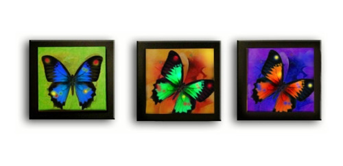 Triptico Pintura Cuadro Mariposas