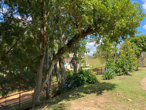 Chácara 7.000 M² - Passo Do Pinto - Gravataí - Rs - 2506 - 69255516