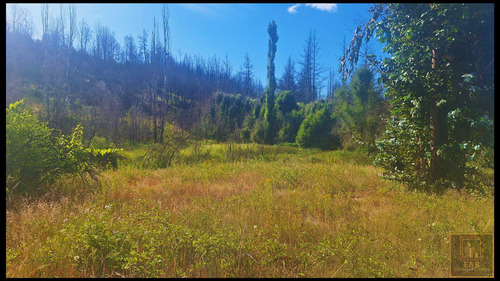 Se Venden Terrenos En Santa Juana , Rural (104525)