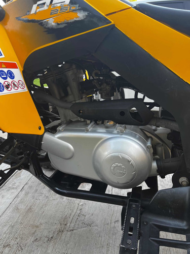 Imagen 17 de 23 de Cuatriciclo Can Am Ds 250 Ds250