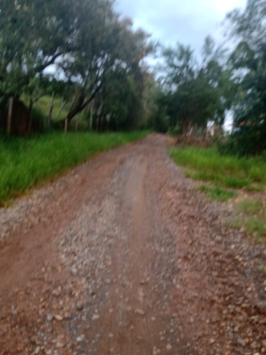 Imagem 16 de 30 de 14 Alqueires Região Angatuba Sp Com Casa Simples Bão Água Luz, Ótima Localização, 10 Km Angatuba Por Estrada Cascalhada Oportunidade... - St00037 - 68969916