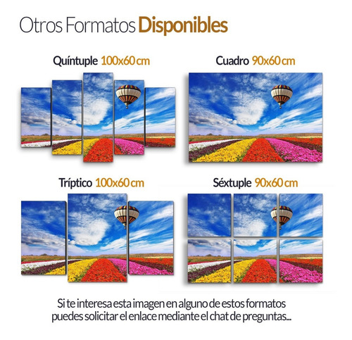 Cuadro Decorativo Moderno Globo Aeróstatico Jd-0793 G Quíntuple 100x60 Cm Sin Marco