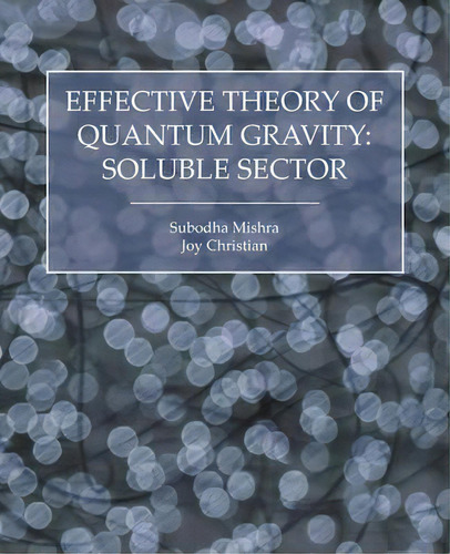 Effective Theory Of Quantum Gravity : Soluble Sector, De Subodha Mishra. Editorial Arima Publishing, Tapa Blanda En Inglés