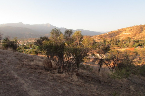 Se Vende Parcela De 14.350 Mts2, Comuna De Curacaví.