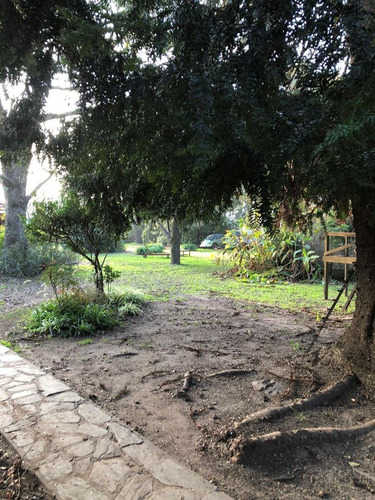 Imagen 12 de 17 de Lote En Venta En San Miguel