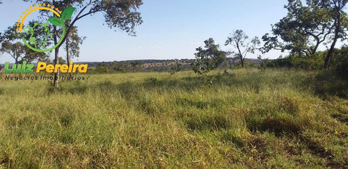 Imagem 11 de 14 de Fazenda À Venda Em Anastácio - Ms - De 510 Hectares (dupla Aptidão) - 1790