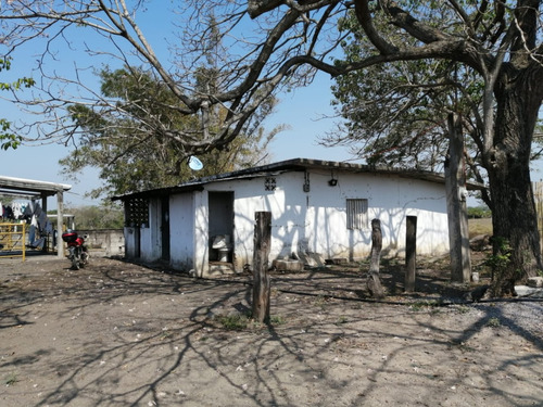Hectáreas En Venta Veracruz Localidad El Pando, Veracruz.