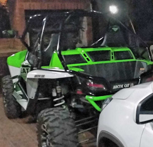 Arctic Cat Wild Cat 1000x