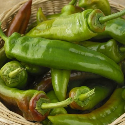 150 Semillas De Pimiento Dulce Gigante Italiano Largo