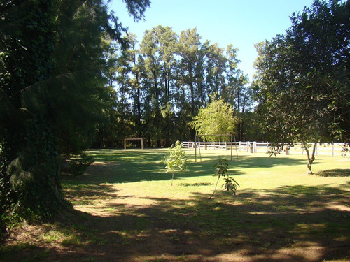 Imagen 5 de 5 de Lotes En Excelente Ubicacion En Chacras De Canning