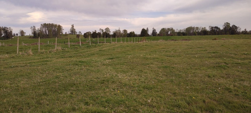 Imagen 3 de 11 de Predio Agrícola 1,5 Ha En Quema Del Buey A 38 Km De Osorno