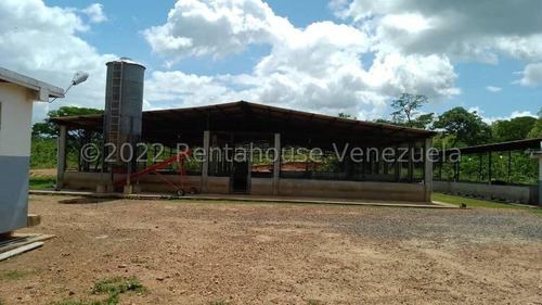 Imagen 4 de 30 de Finca Productora (ganado Levante) En San Carlos 23-416 //invierta Seguro Con Rentahouse//