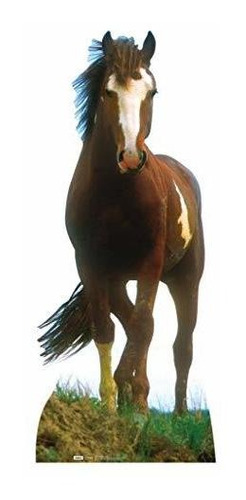 Cardboard People Mustang Horse - Gráficos