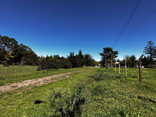 Casa En Venta Cabaña En Venta En Chascomus