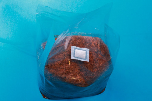 200 Bolsa Transparente A Cultivo Hongo, Micelio 20x50+12cm