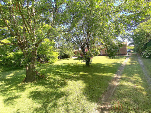 Venta Casa 3 Dormitorios Parrillero Fondo- San José De Carrasco