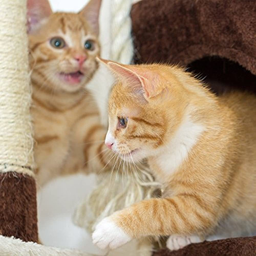 Imagen 3 de 5 de Petmaker 4 Tier Cat Plush Torre Felina De Felpa Con Postes