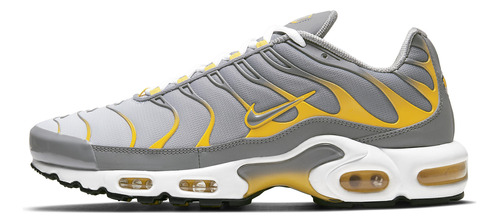 Zapatillas Nike Air Max Plus Particle Grey Dd7111-001   