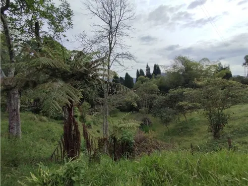 Venta De Lote En Guarne, Vereda Hojas Anchas