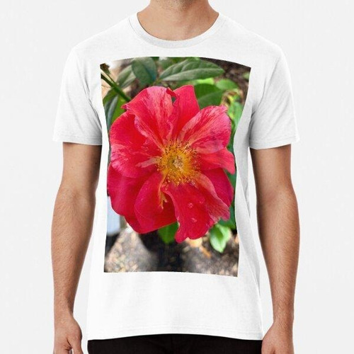 Remera Flor De Peonía O Flor Rosa Algodon Premium 