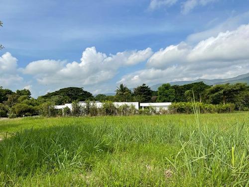 Imagen 7 de 14 de En Venta Terreno En Hato Royal