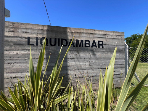 Lotes En Venta San Carlos, La Plata 149 Y 42, La Plata - 9.85 X 28.0m