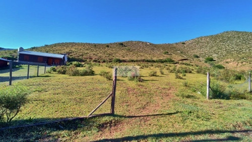 Terreno En Venta Casas Viejas El Mollar 571 M2 Luz Agua