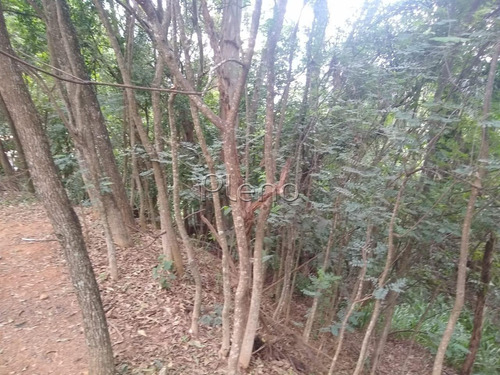 Imagem 5 de 15 de Terreno À Venda Em Joaquim Egídio - Te028079