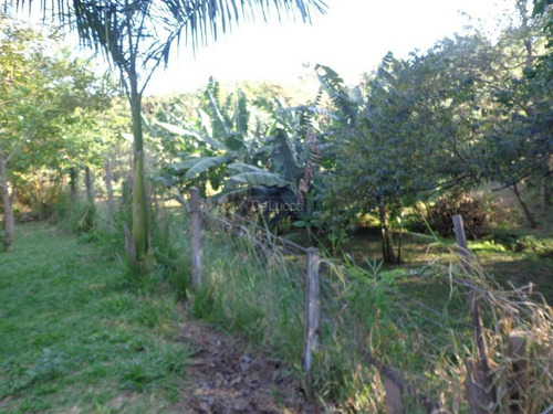 Imagem 13 de 23 de Chácara À Venda Em Chácara Bela Vista - Ch017038