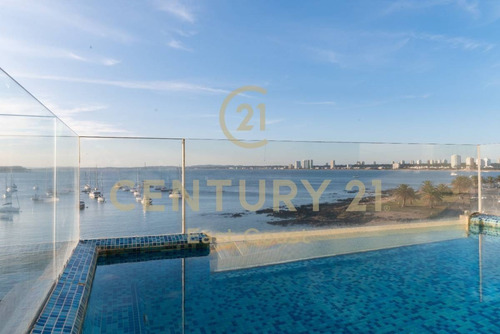 Imagen 12 de 30 de Le Bleu Pent-house En Venta Frente Al Puerto Con El Diseño De Carlos Ott