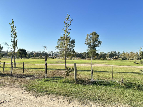 Terreno En La Reserva, Barrio De Chacras