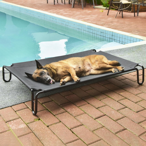 Cama Exterior Elevada Para Perros - Cama Elevada Para Per...