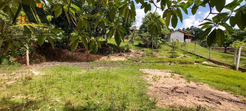 Imagem 14 de 15 de Chácara Para Venda Em Pinhalzinho, Centro, 2 Dormitórios, 2 Suítes - 38_1-2378278