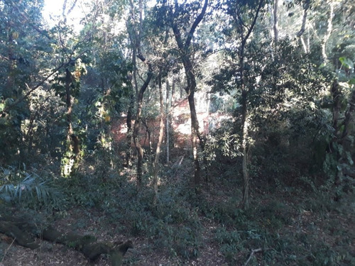 Imagem 23 de 30 de Sítio À Venda, 158994 M² Por R$ 700.000,00 - Santa Terezinha - Piracicaba/sp - Si0028