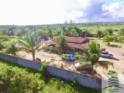 Imagem 1 de 17 de Granja A Venda Em Macaíba