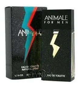 11KB 2001 null null null 6 6 6 6 1 2003 null C89BKoXyh0BJVM