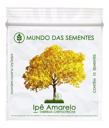 10 Sementes Ipê Amarelo Dourado Tabebuia Chrysotricha