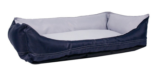 Cama Explorer