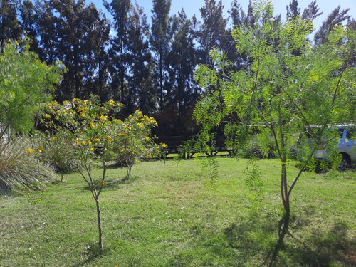 Venta Casa Container En Carlos Keen - Terreno 1100 Mtrs. / Lote Grande En Zona Comercial