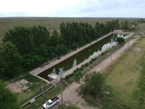Terreno En Venta - 1.000mts2 - San Rafael, Mendoza