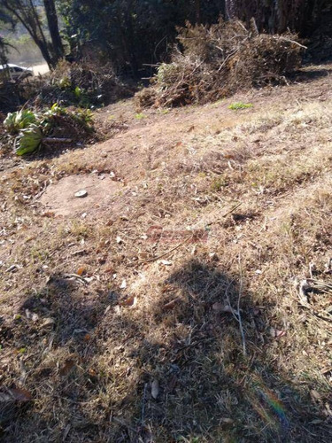 Imagem 7 de 27 de Terreno À Venda, 1097 M² Por R$ 213.000 - Aralú - Santa Isabel/sp - Te0928